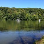 Life Inc Lake and Pond Management Hudson Valley Pond Restoration