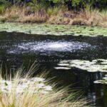 Life Inc Ponds Hudson Valley Pond Restoration